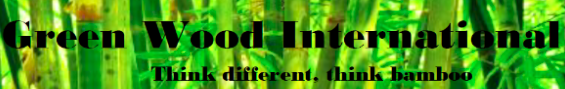 image_not_found
